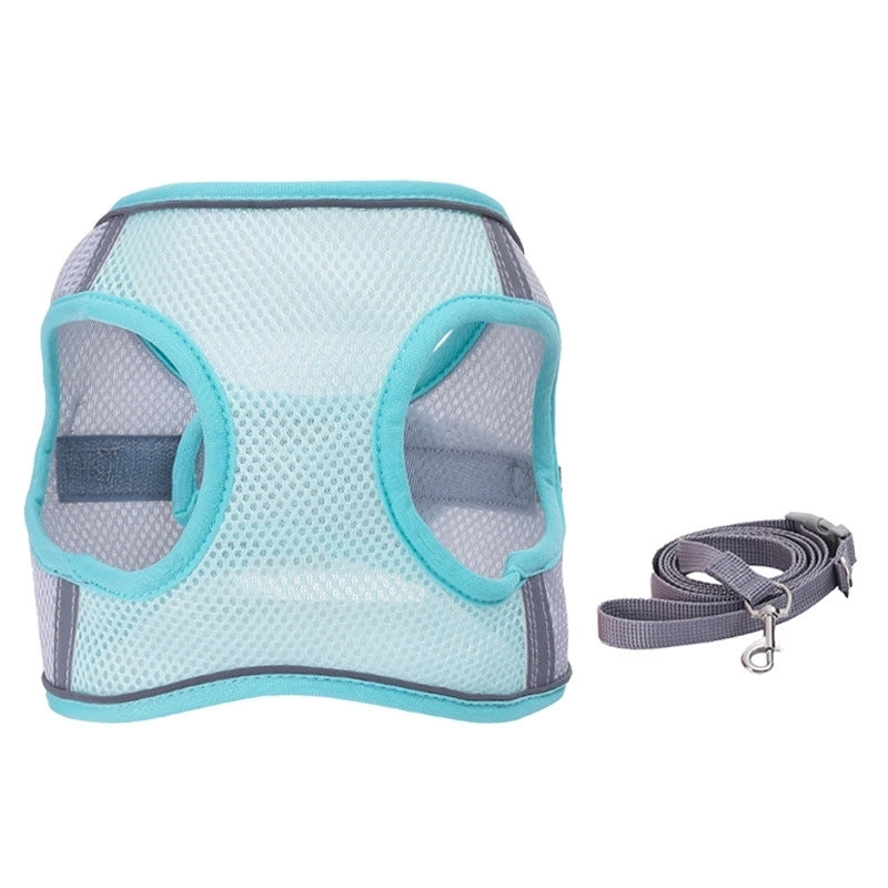 Minimalist Polyester Color Block Leash