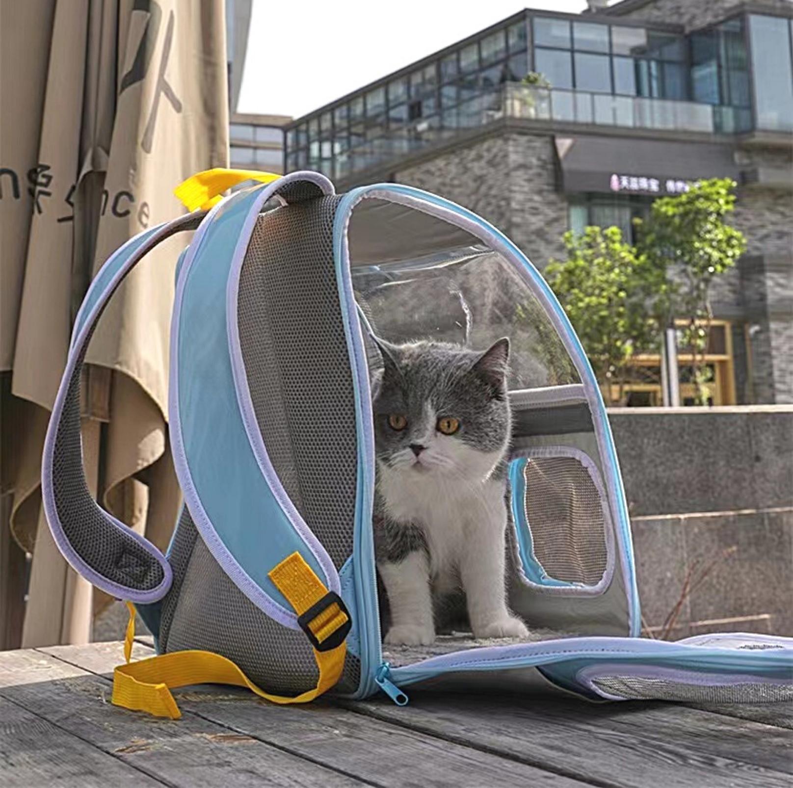 Back to School Clear Shoulder Bag Cat and Small Dog Carrier