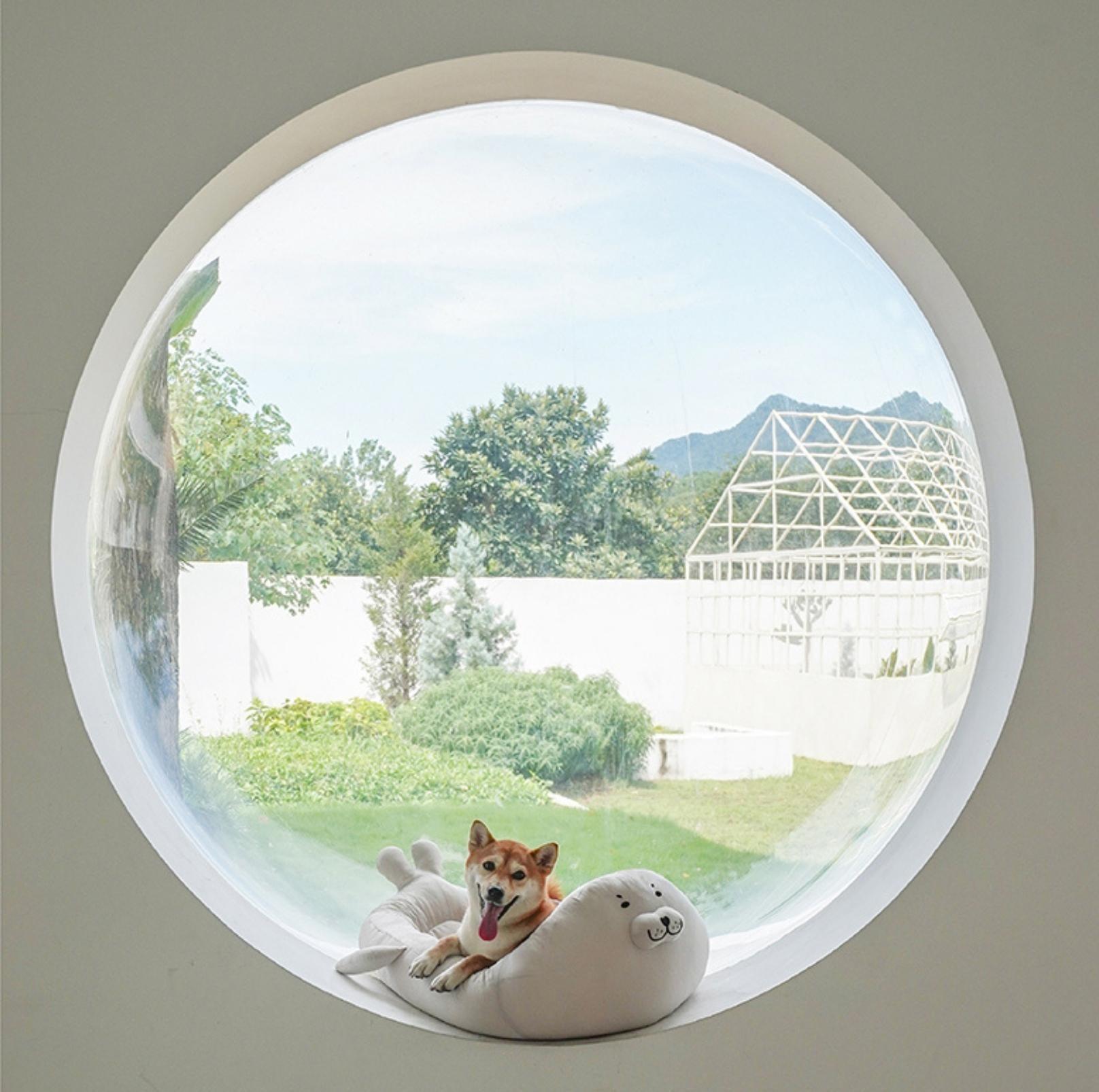 Summer Ice Silk Seal Pet Cat Bed Dog Bed