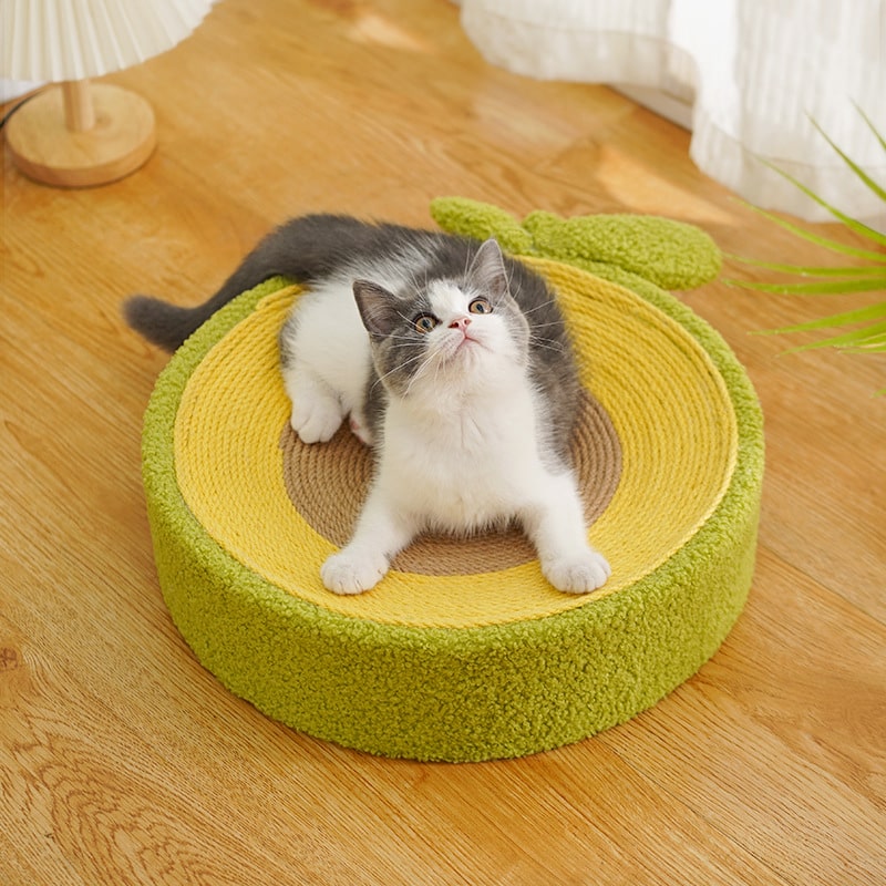Cat Scratchers | Cute Avocado Style