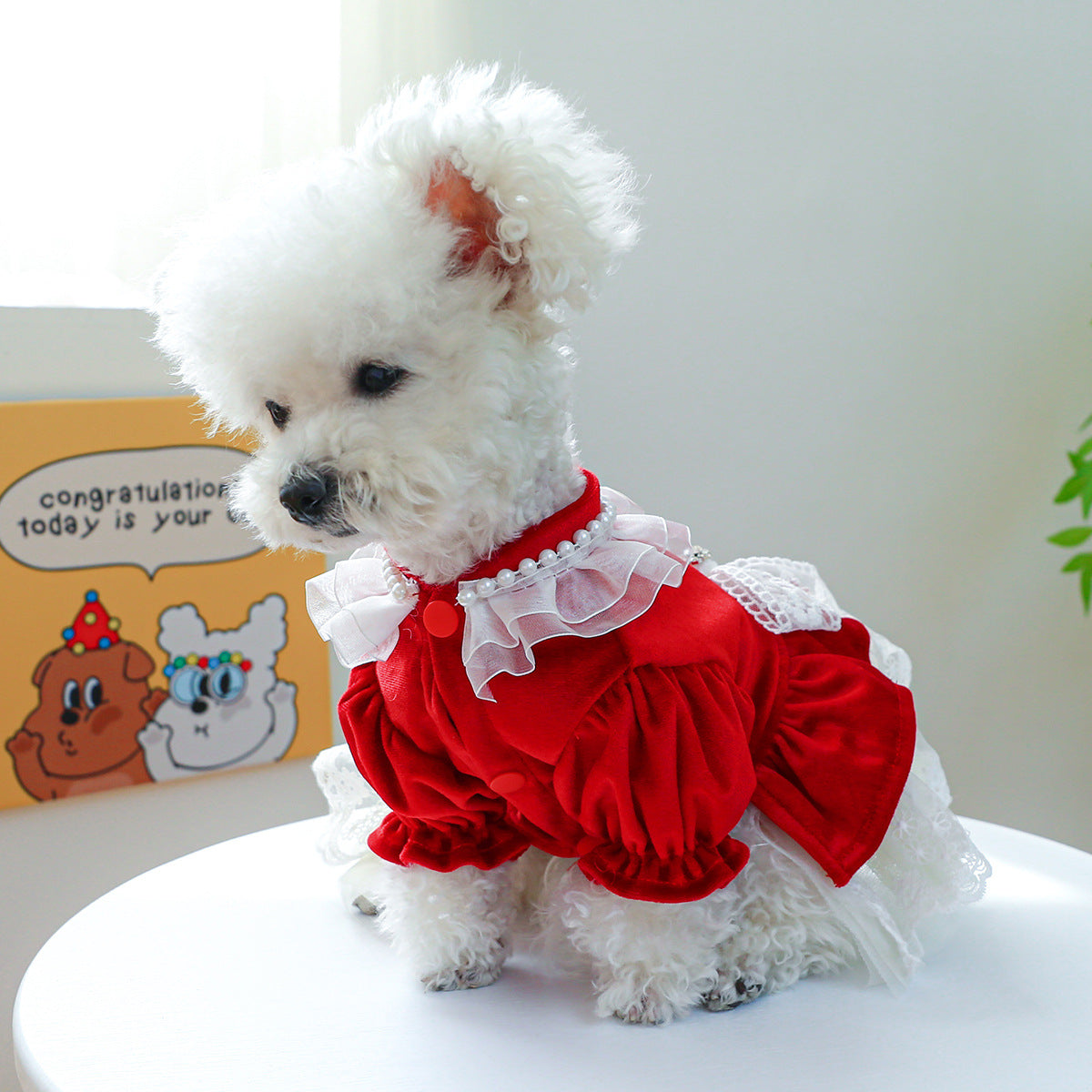 Velvet Lace Bowknot Dog Cat Dress
