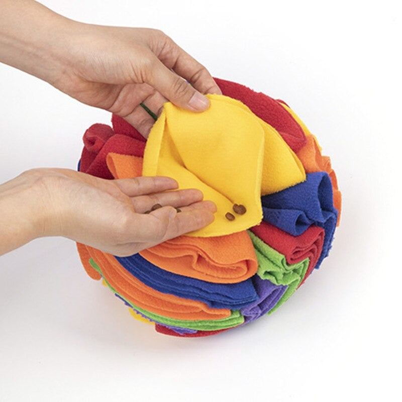 Dog Snuffle Ball Training