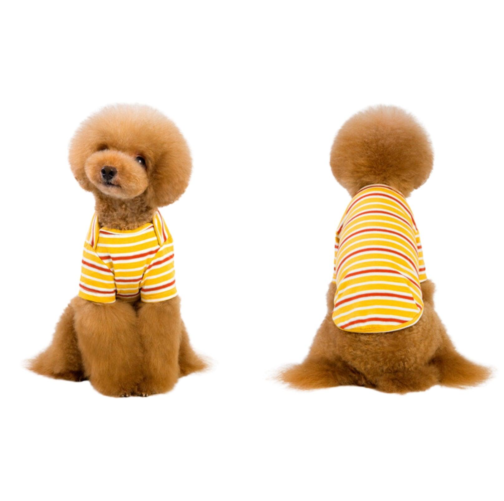 Spring-Summer Striped Dog T-Shirt