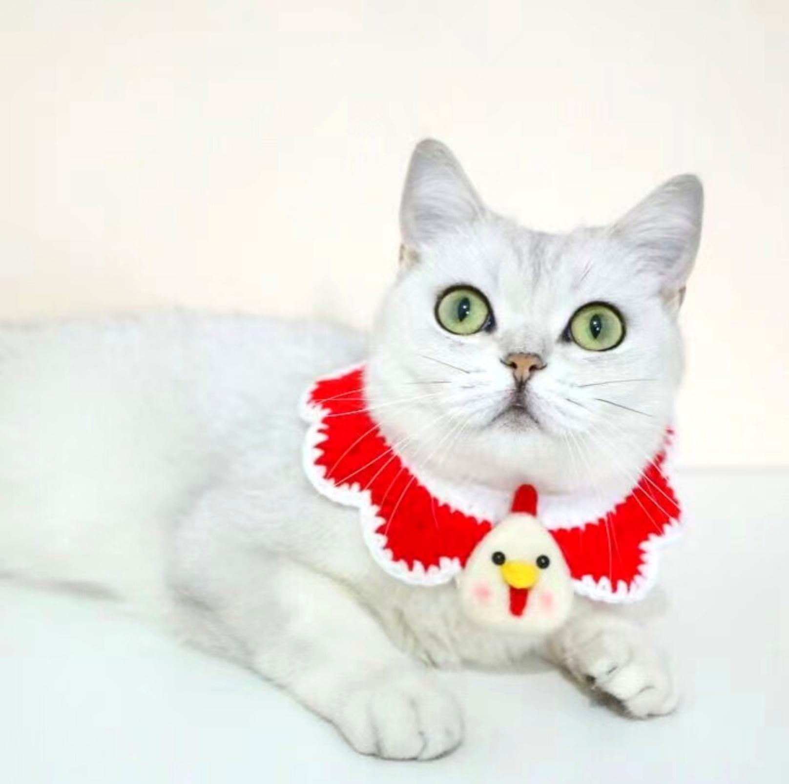 Little Animal Friends Style Knitted Woolen Bibs for Pets