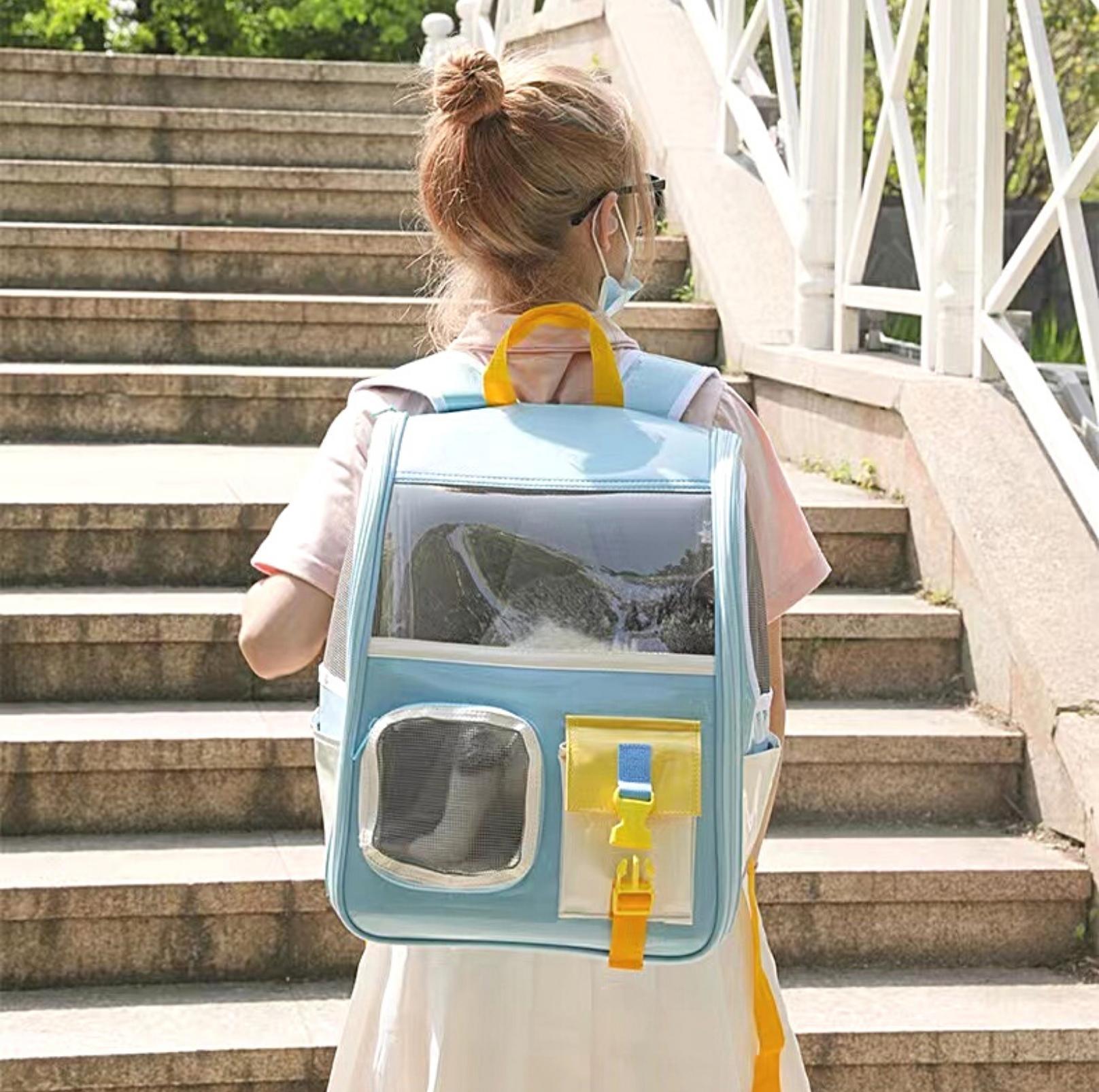 Back to School Clear Shoulder Bag Cat and Small Dog Carrier