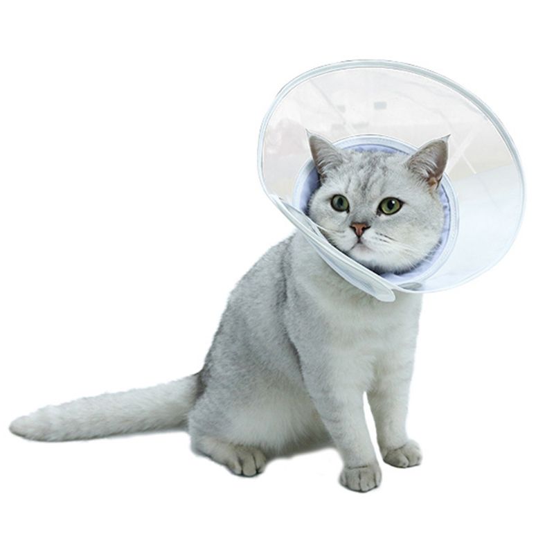 Healing Surgery Cat Collar