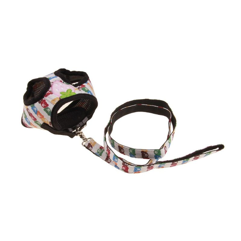 Dog Harness Vest Leash Set