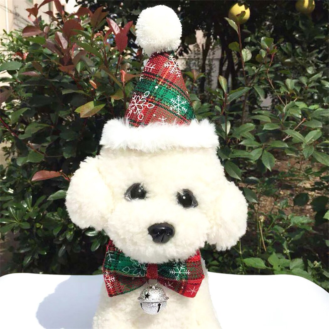 Christmas Set For Dogs