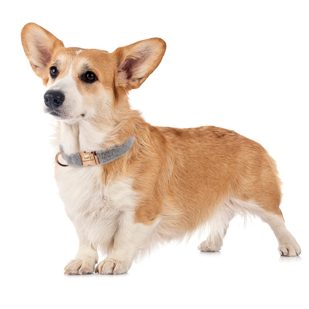 Soft Furry Personalized Dog Cat Collar