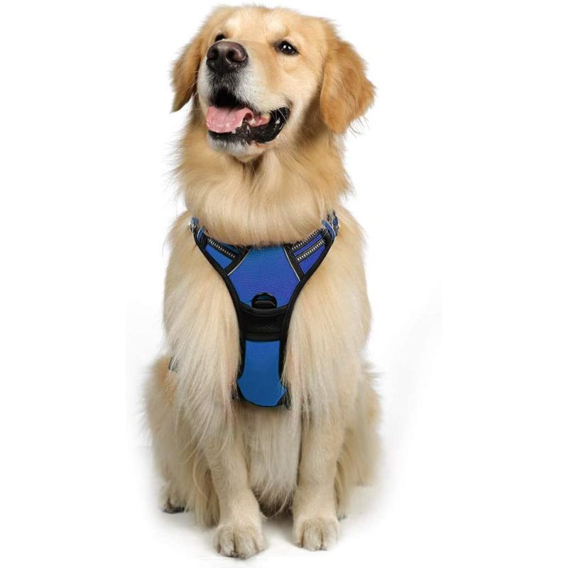 Dog No-Pull Pet Harness With 2 Leash Clips