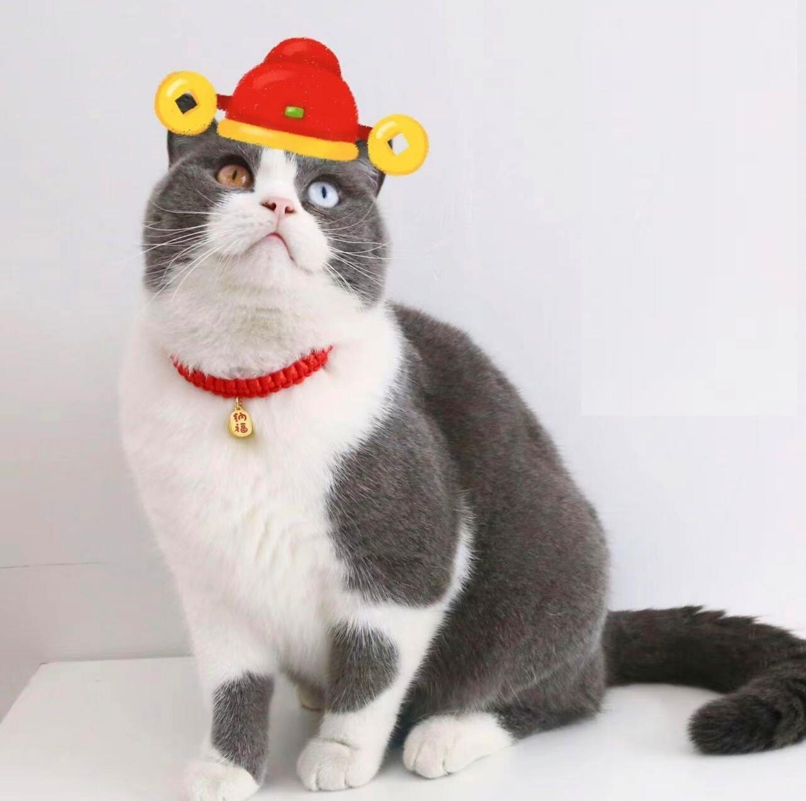 Pet Woven Red String Adjustable Collar With Chinese Style Forturne Pendants