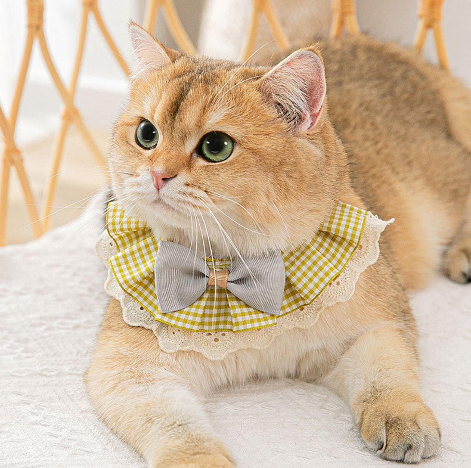 Woven Plaid Bow-Tie Pet Bib