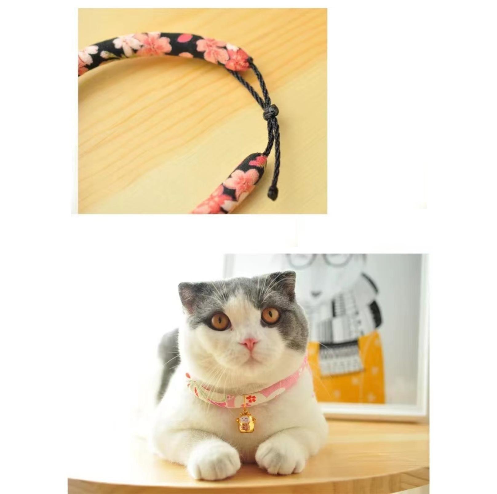 Flower Fusion Pet Collar