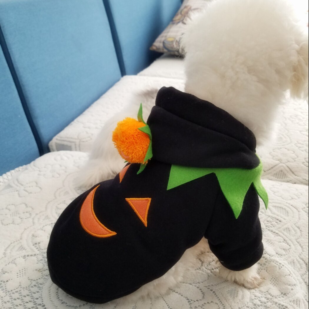 Halloween Hoodies For Dogs