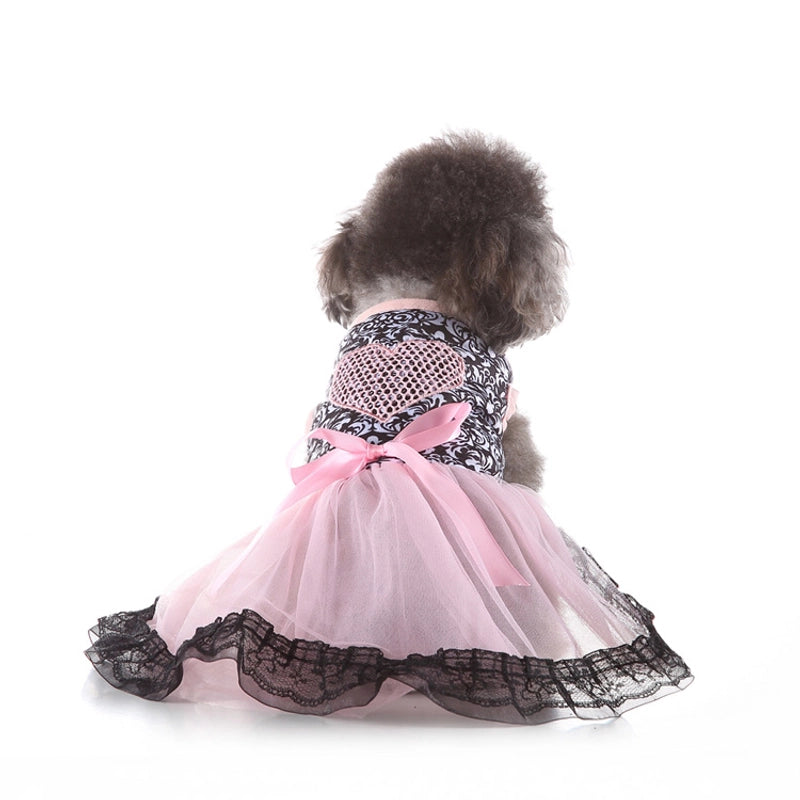 Pet Supplies New Pet Clothes Rainbow Skirt Spring And Summer Pet Clothing Leopard Print