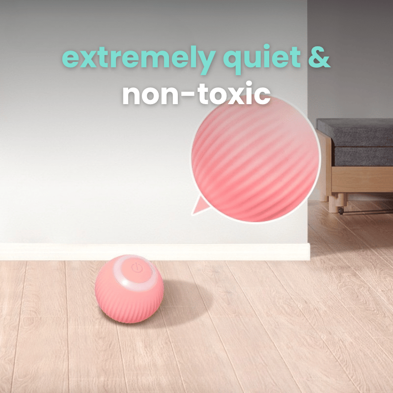 🎁2023-Christmas Hot Sale🎁The original rolling smart ball