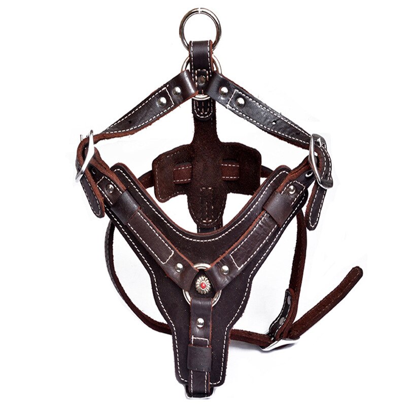 Harness Chest Strap Dogs Collar