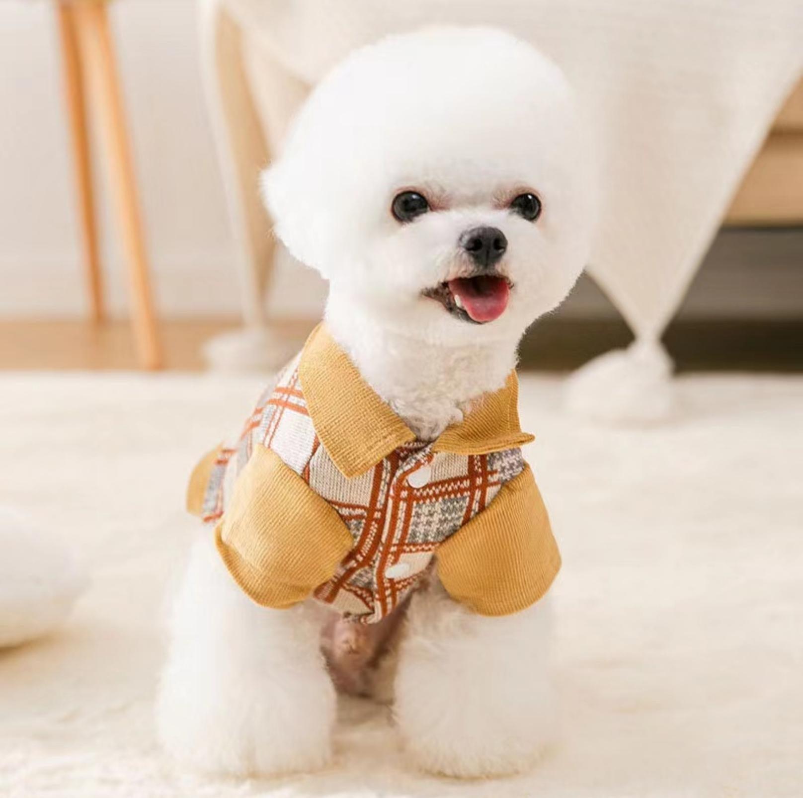 College-Style Knitted Polo Pet Shirt