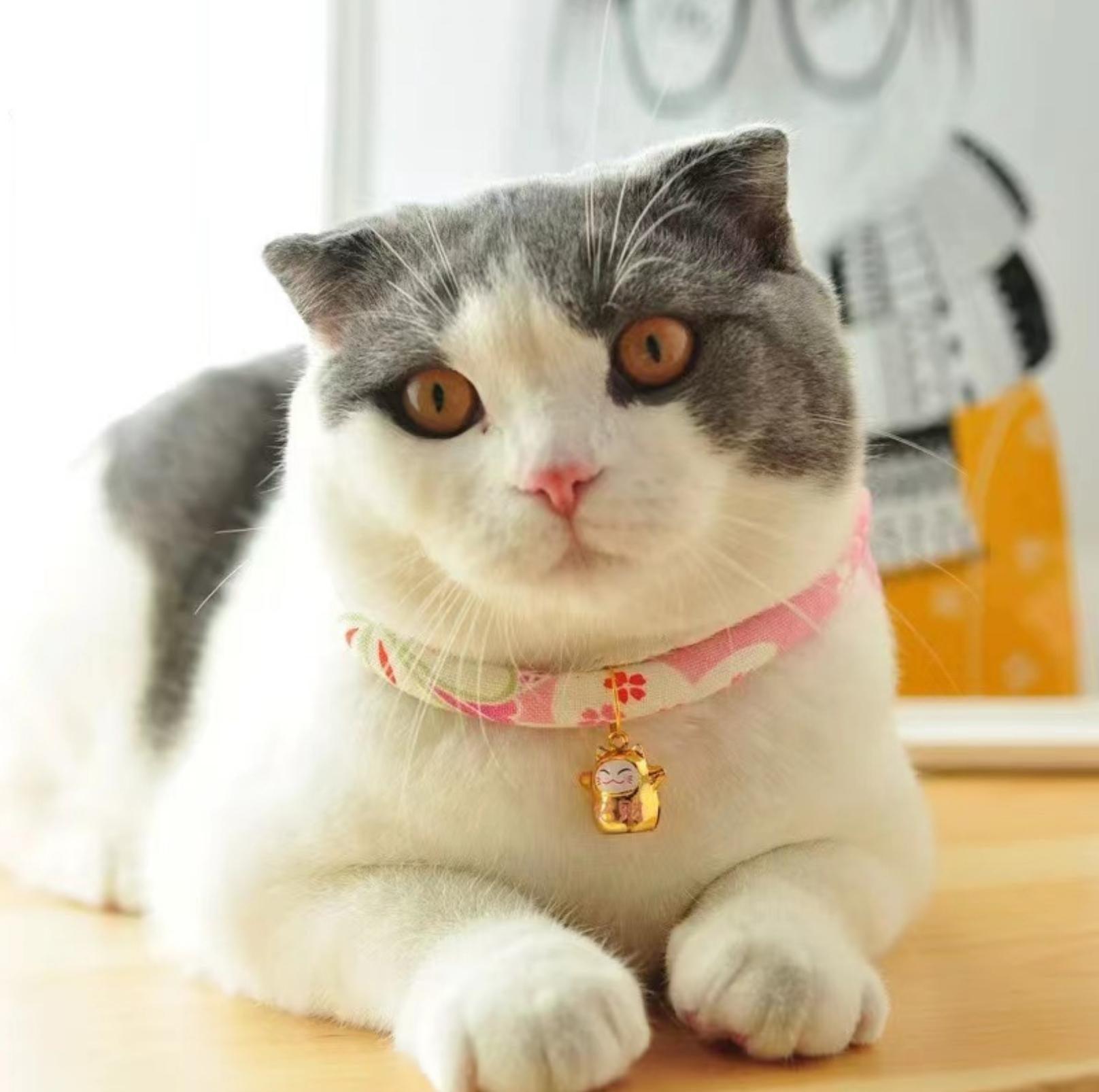 Waves And Flowers Pet Collar
