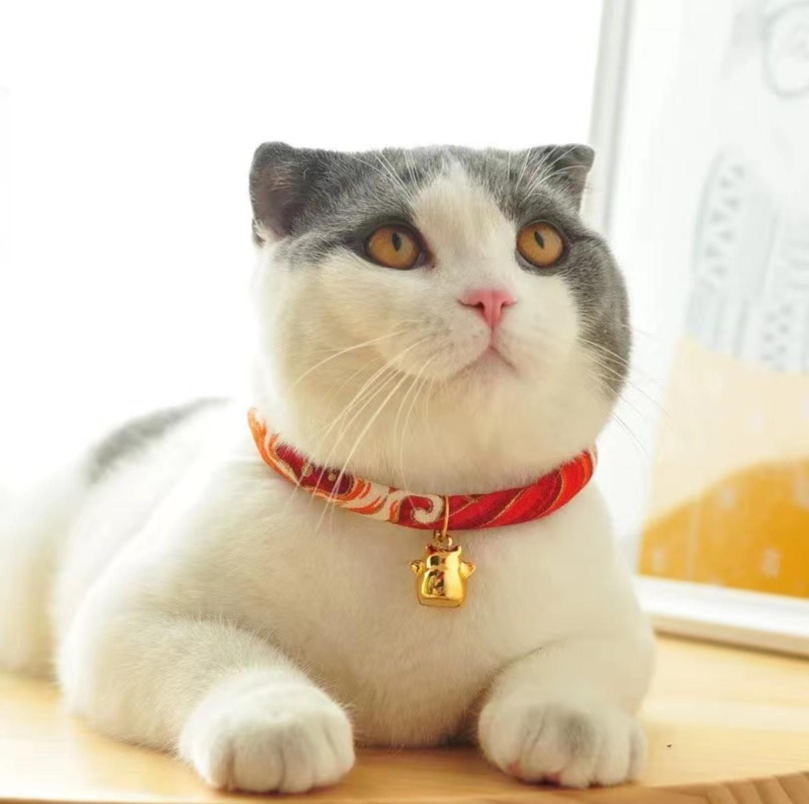 Waves And Flowers  Pet Collar