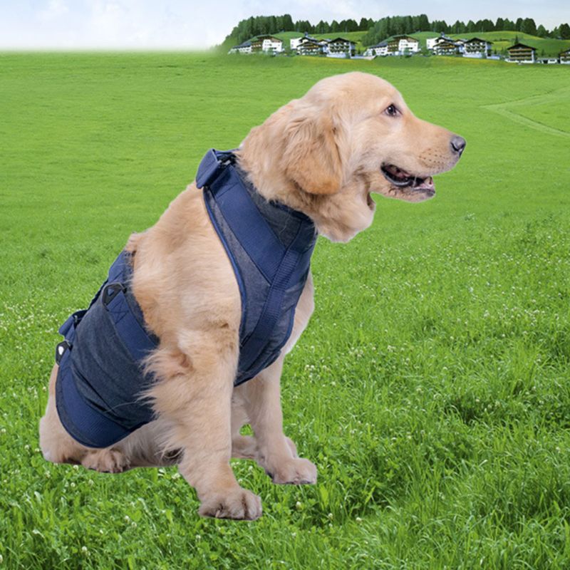 Pet Dog Lifting Harness With Handle