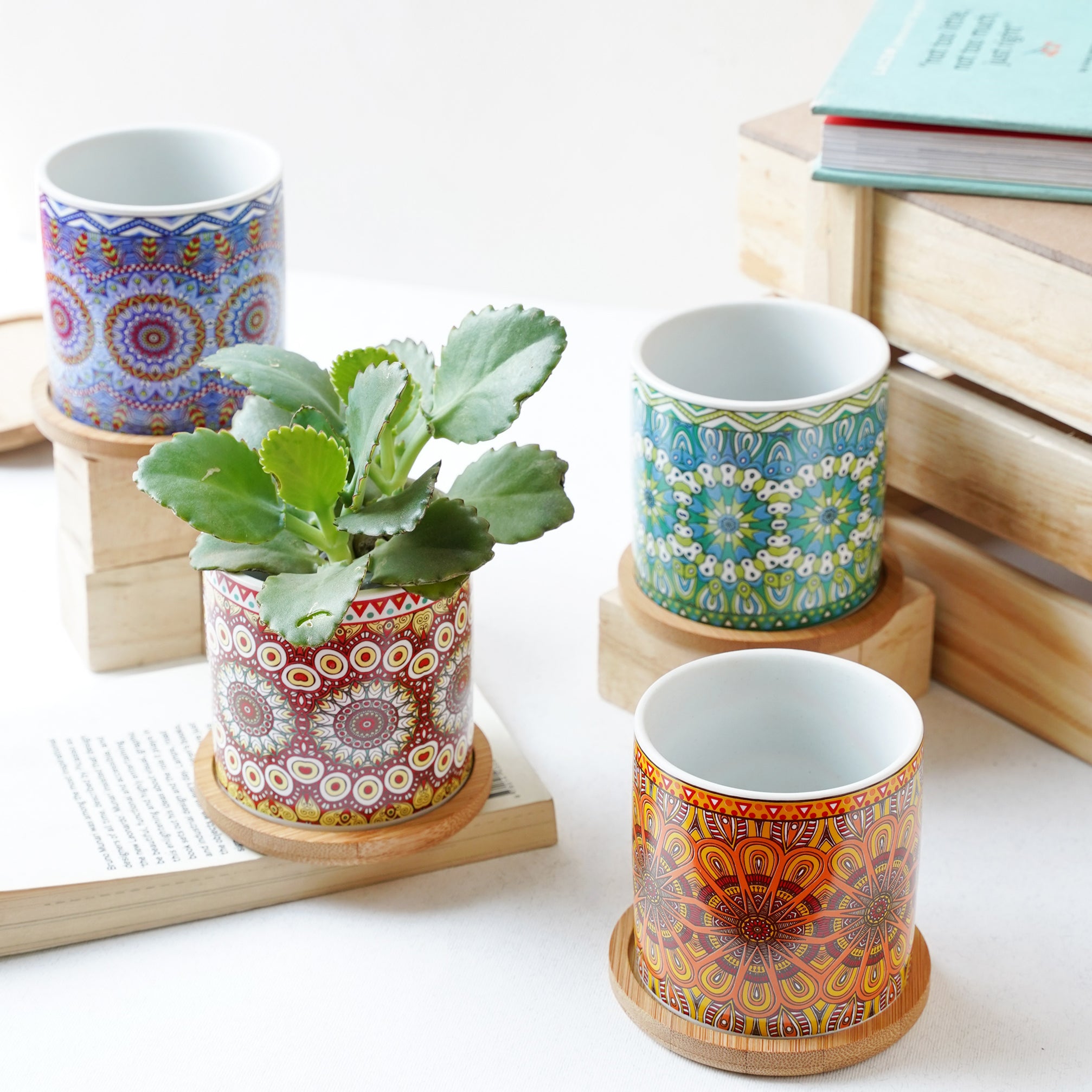 House Plant Pots