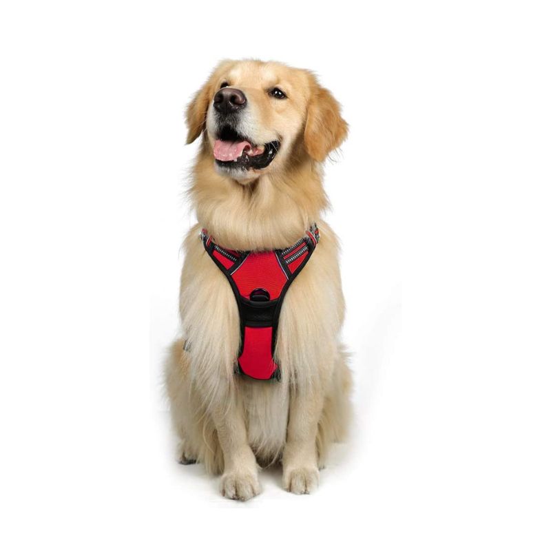Dog No-Pull Pet Harness With 2 Leash Clips