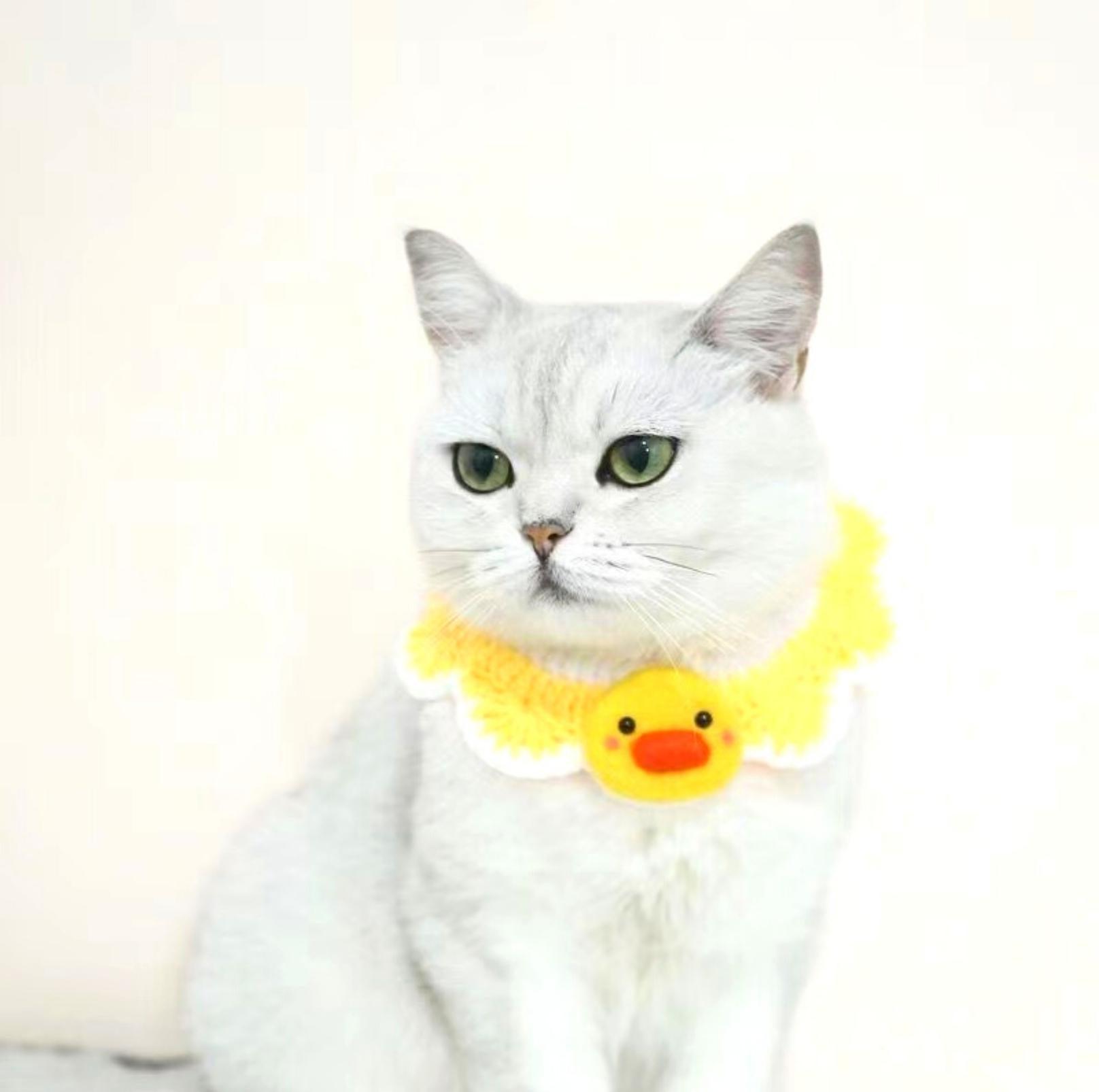 Little Animal Friends Style Knitted Woolen Bibs for Pets