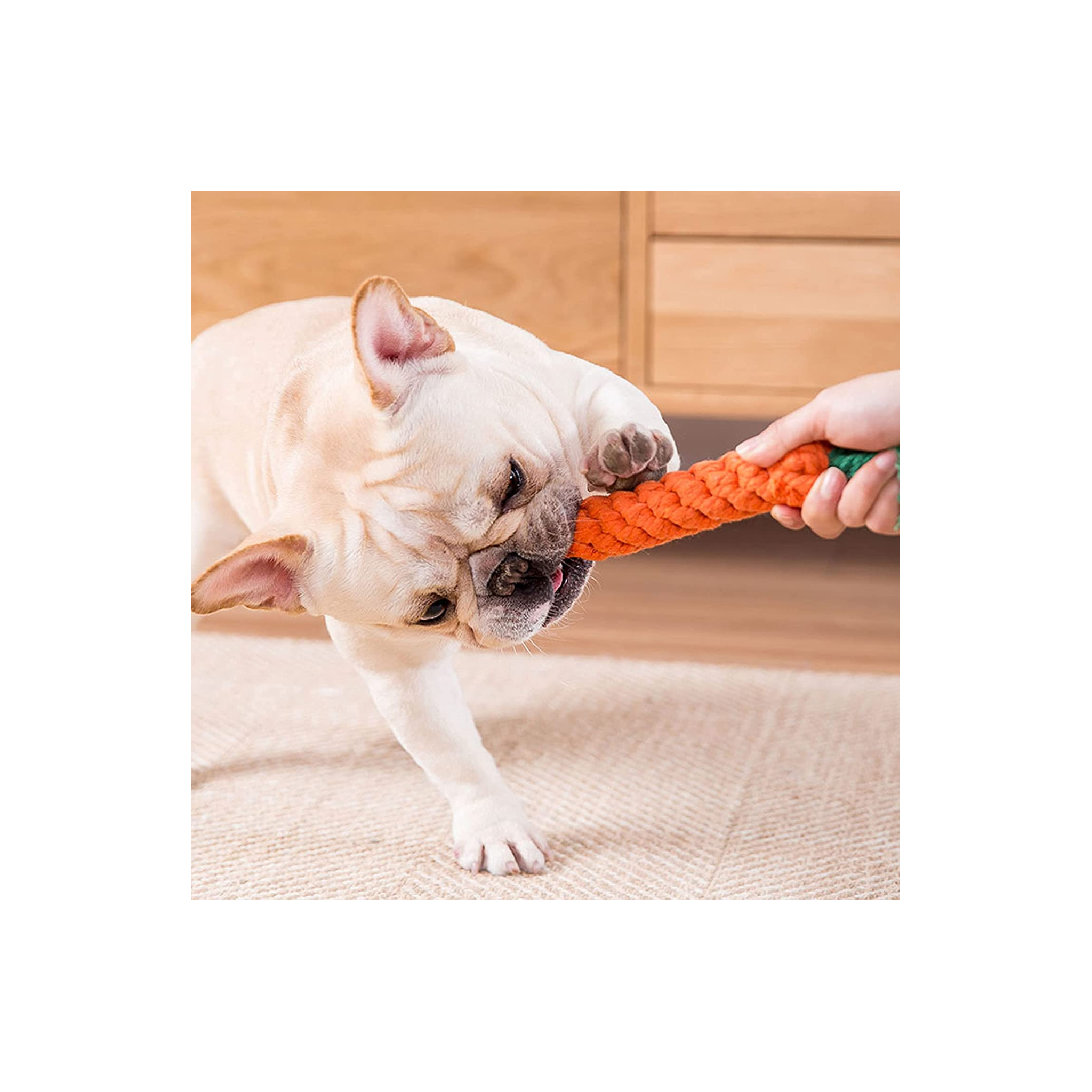 Carrot Rope Toy(Pack of 2)