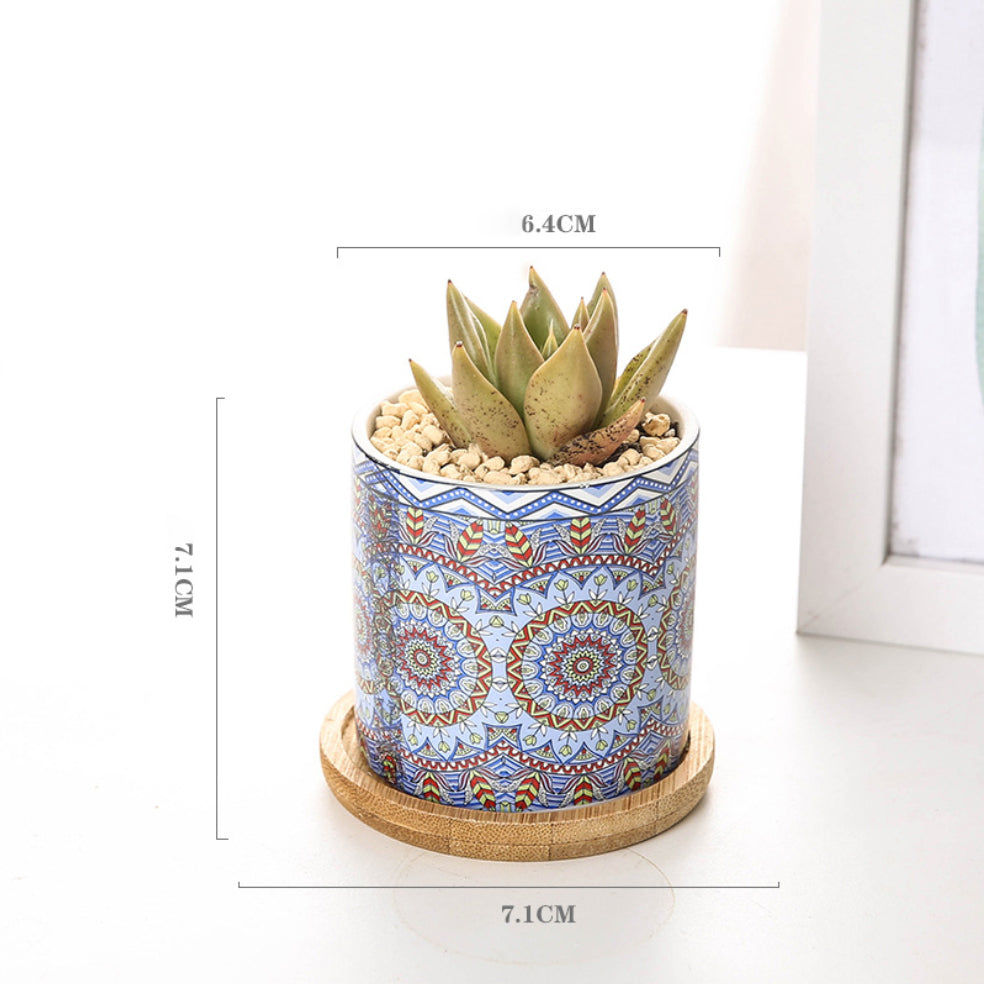 House Plant Pots