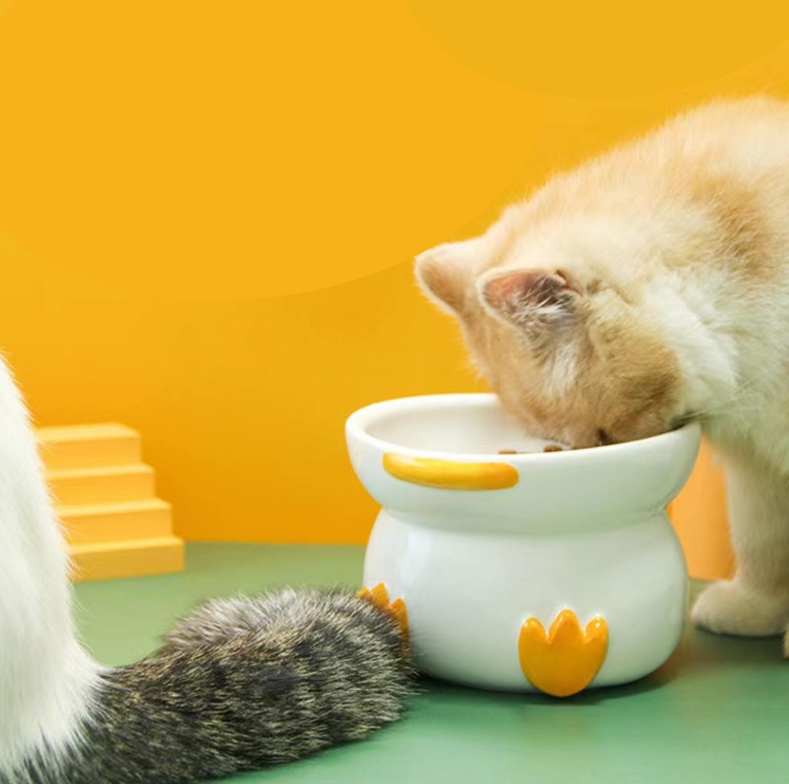 Duck-Shaped Elevated Ceramic Cat Bowls Small Dog Bowls