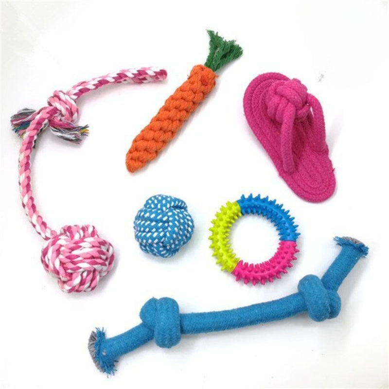 Dog Set Chew Toy