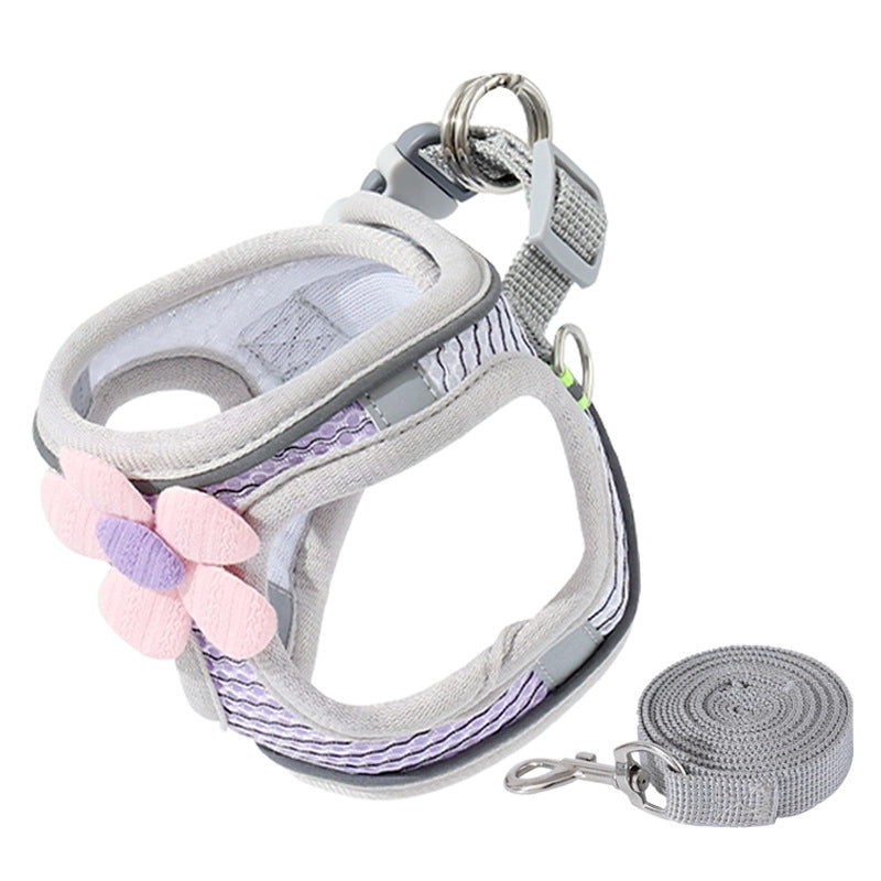 Minimalist Polyester Color Block Leash