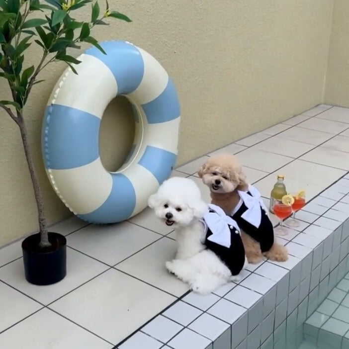 Large Bow Dog Cat Swimsuit