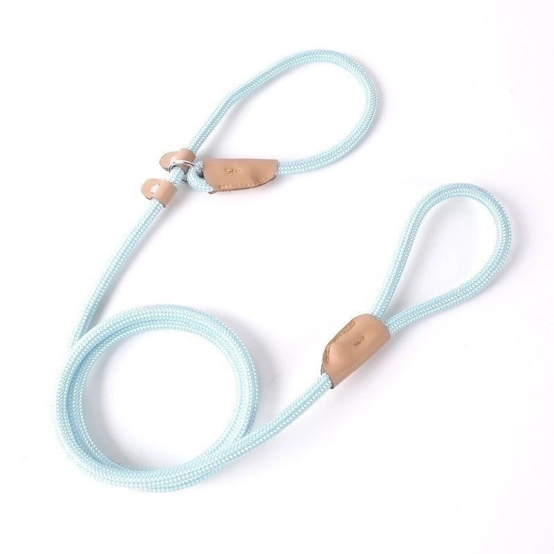 Minimalist Nylon Solid Color Leash
