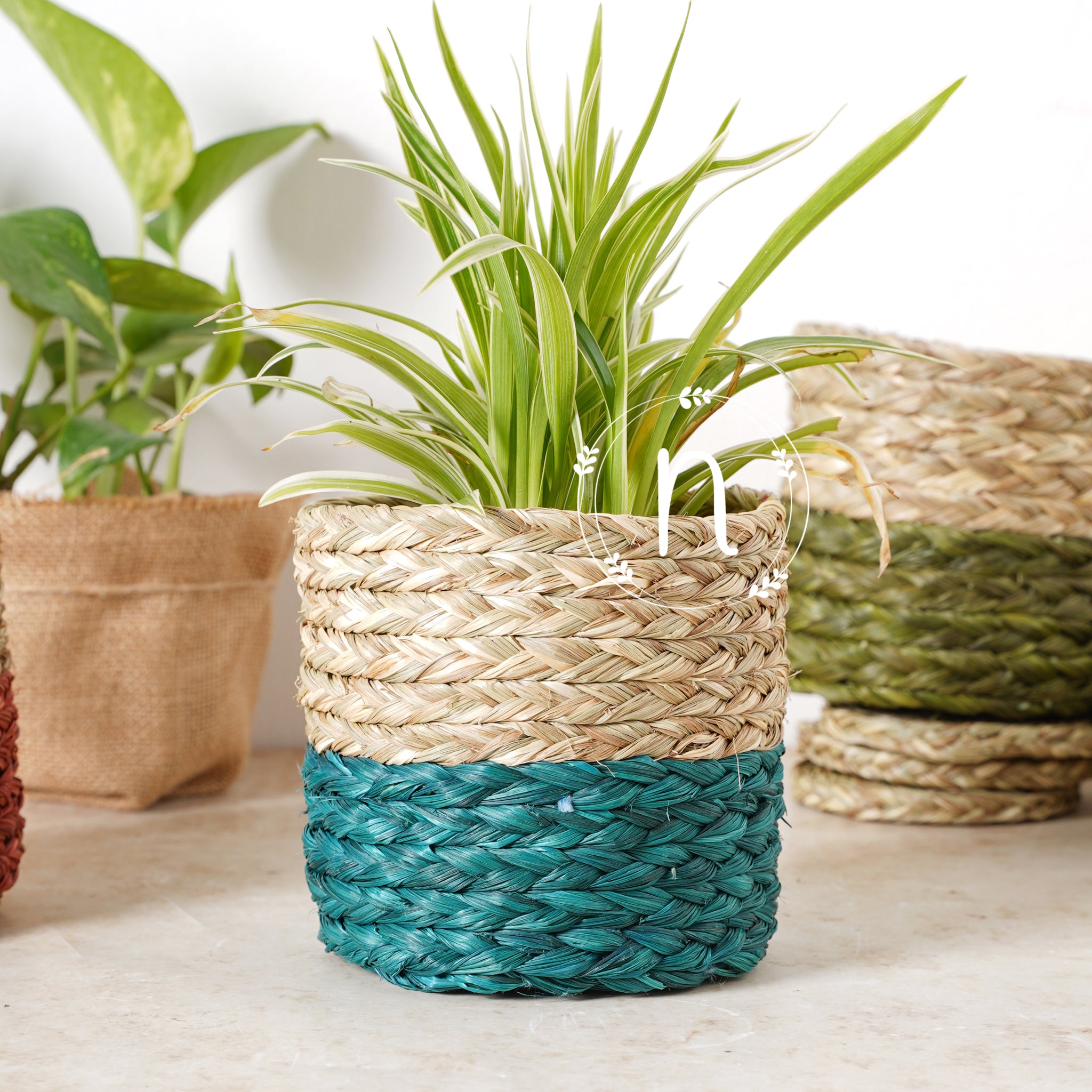 Small Planter Basket