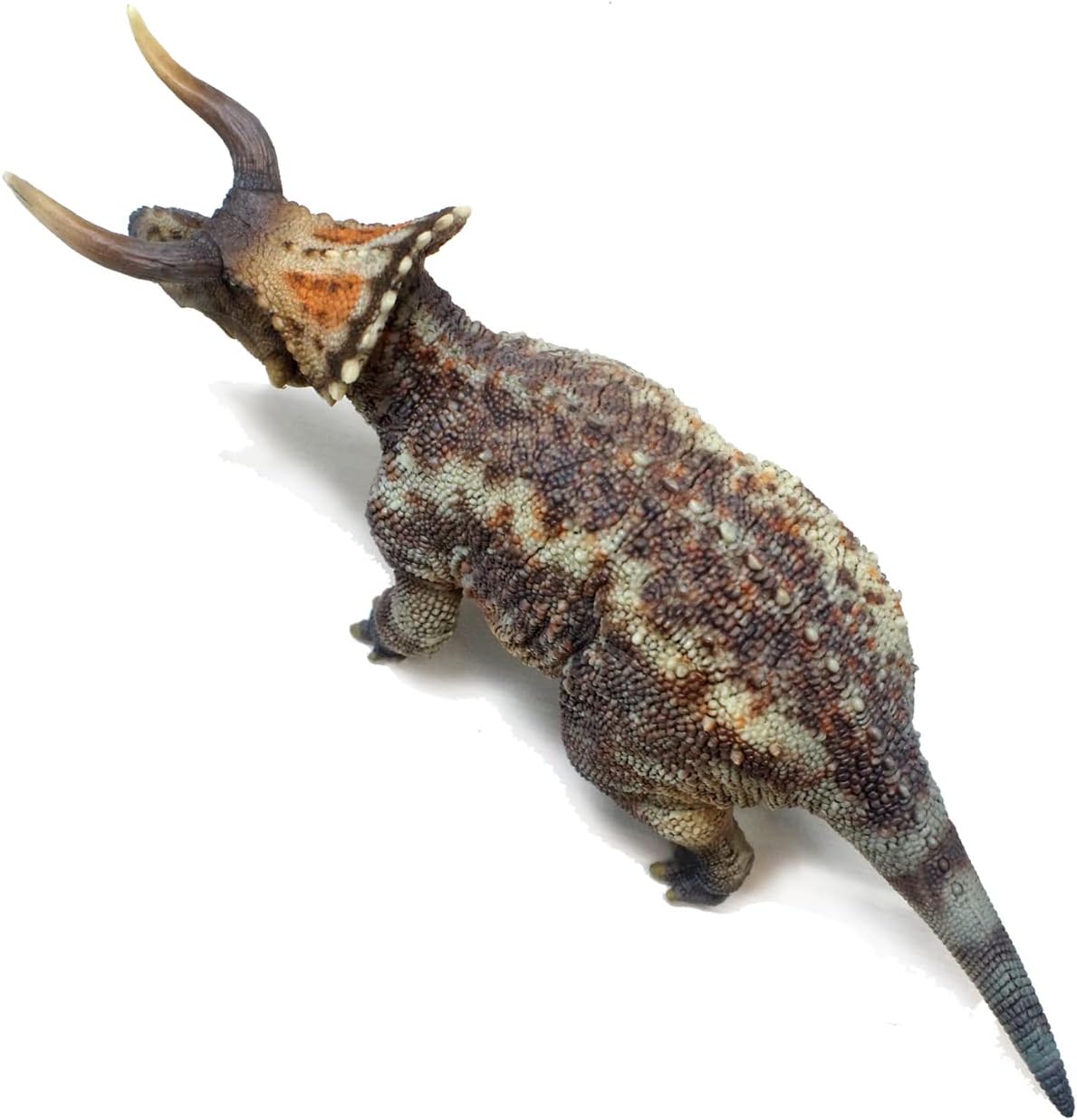 Series（Nasutoceratops 1：35 Science and Art Model） Multicolor