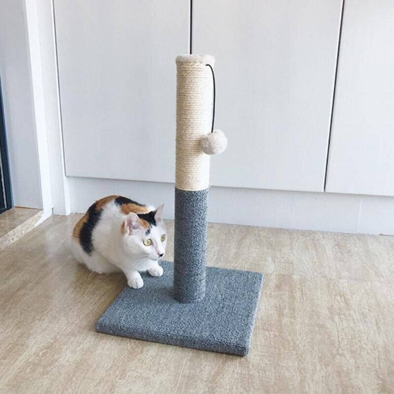 Climbing Poll For Cats