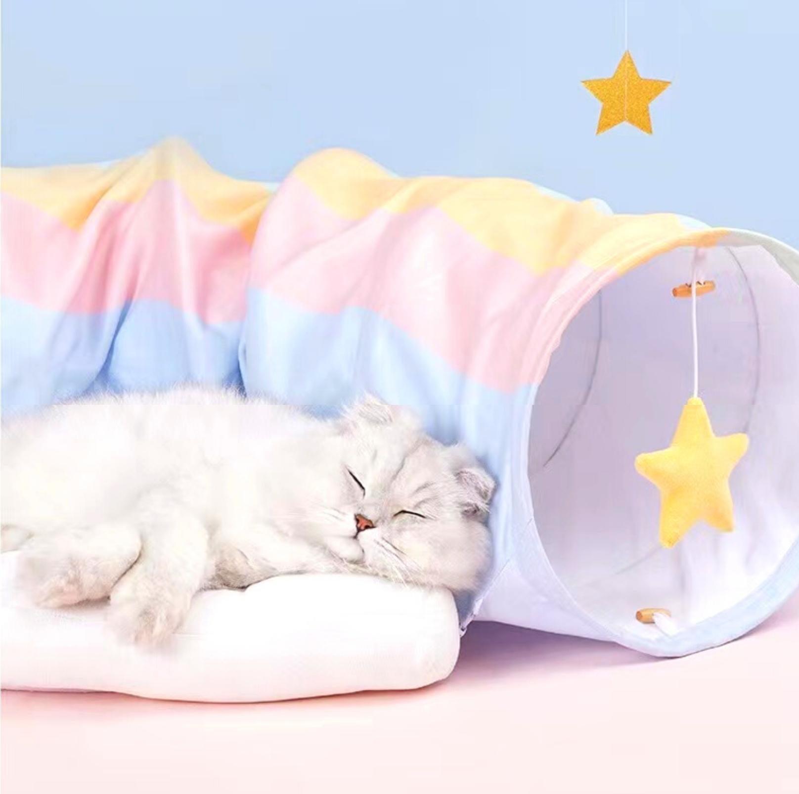 Tunnel Toys and Removable Cat Bed