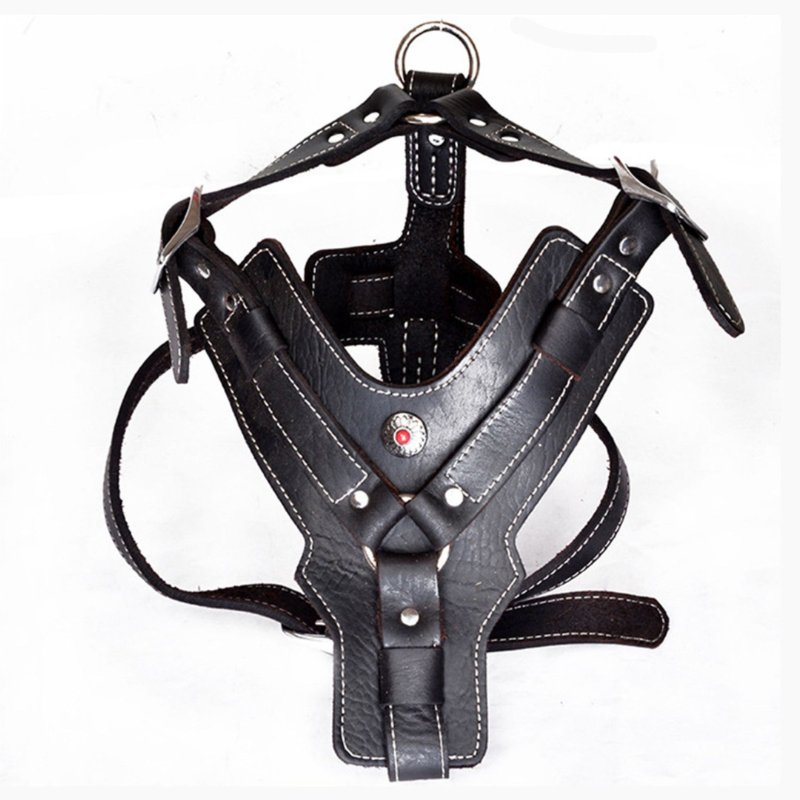 Harness Chest Strap Dogs Collar