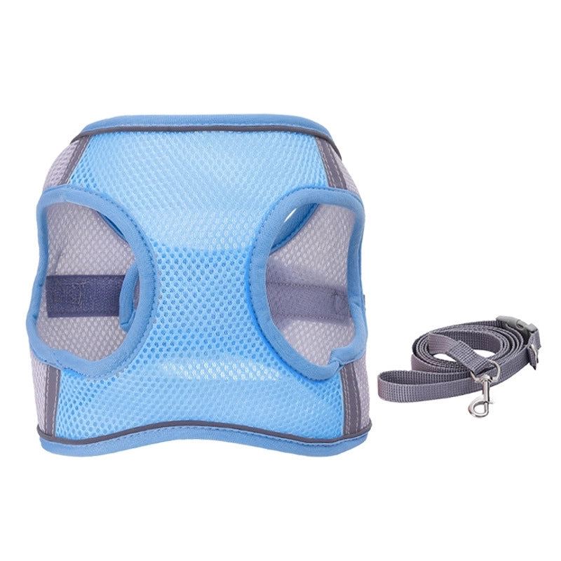 Minimalist Polyester Color Block Leash