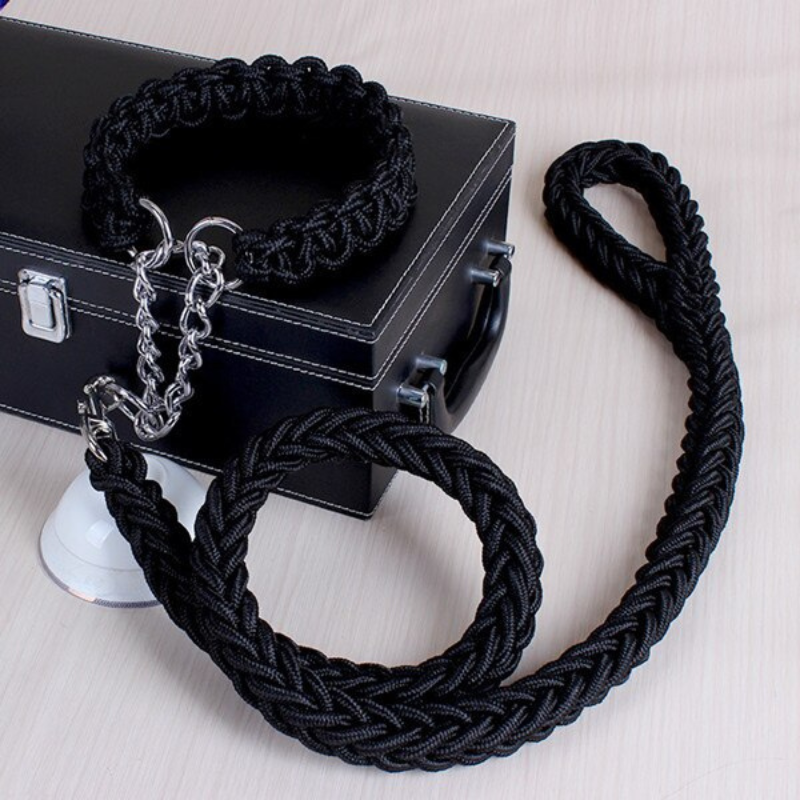 Dog Leash For Dog Collar