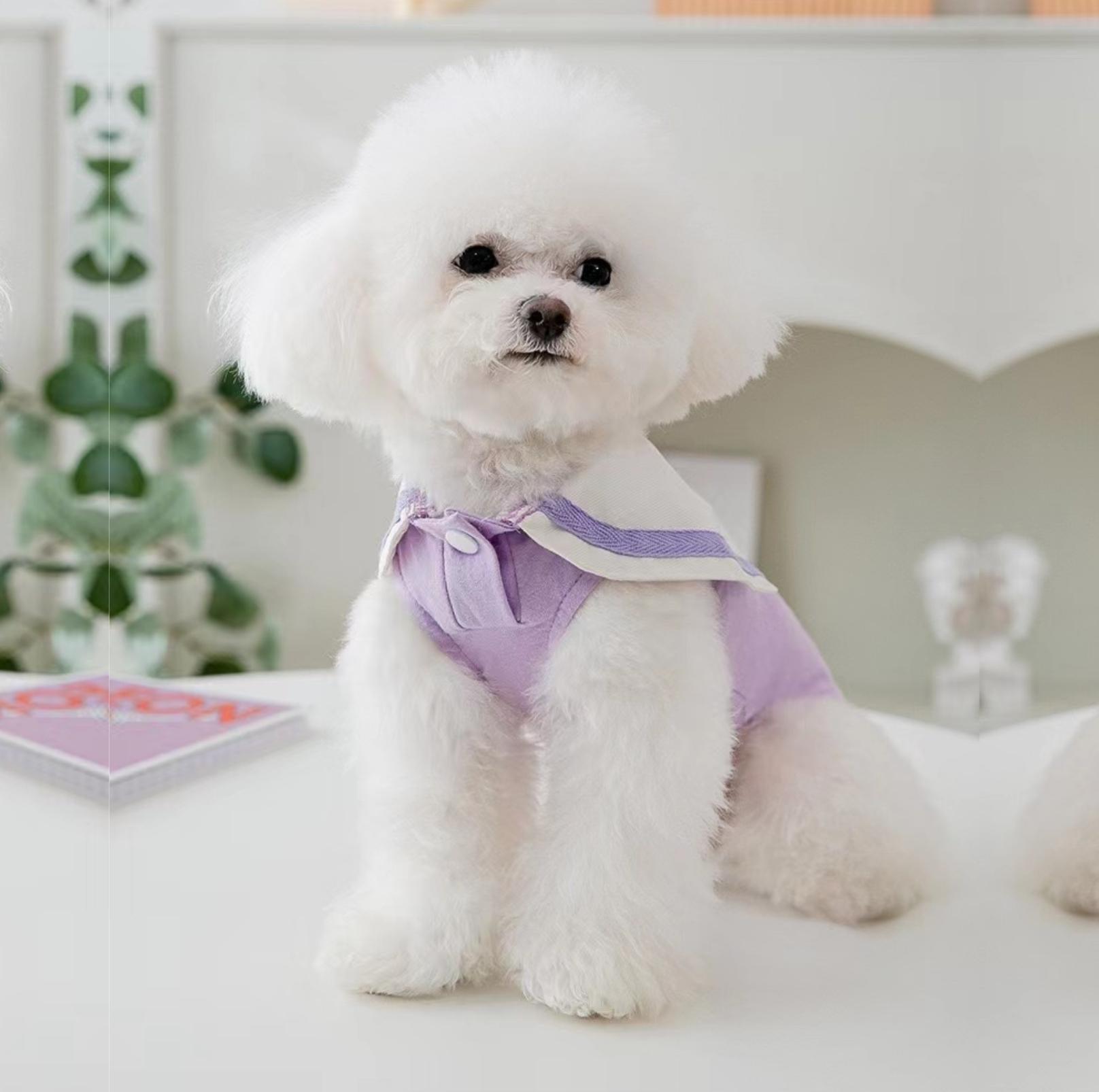 Summer Pet Vest with Naval Collar & Kitty Print