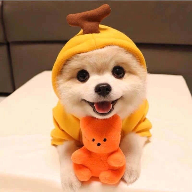 Fashion Polyester Christmas Heart Shape Frog Elk Pet Clothing