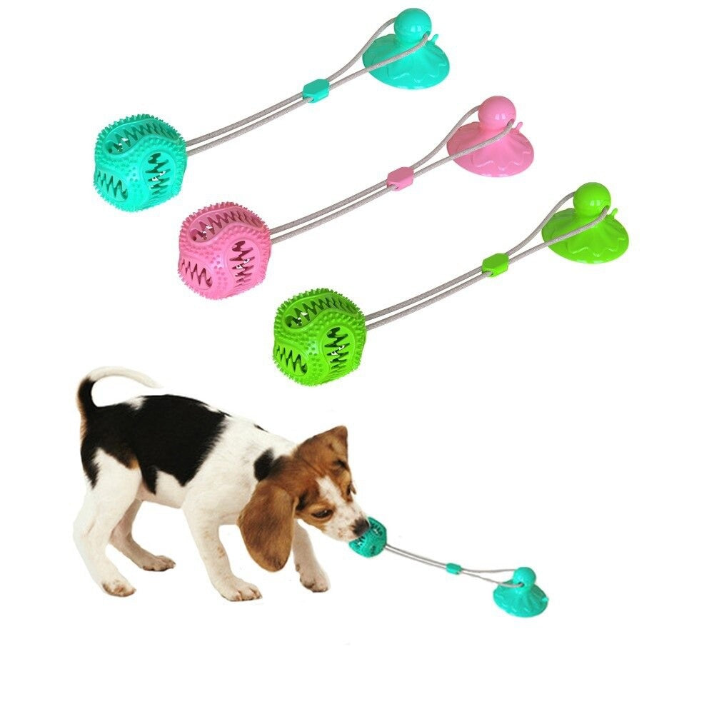 Dog Interactive Suction Cup