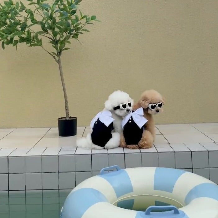 Large Bow Dog Cat Swimsuit