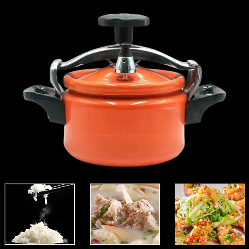 Uncoated Explosion-Proof Pressure MIni Cooker