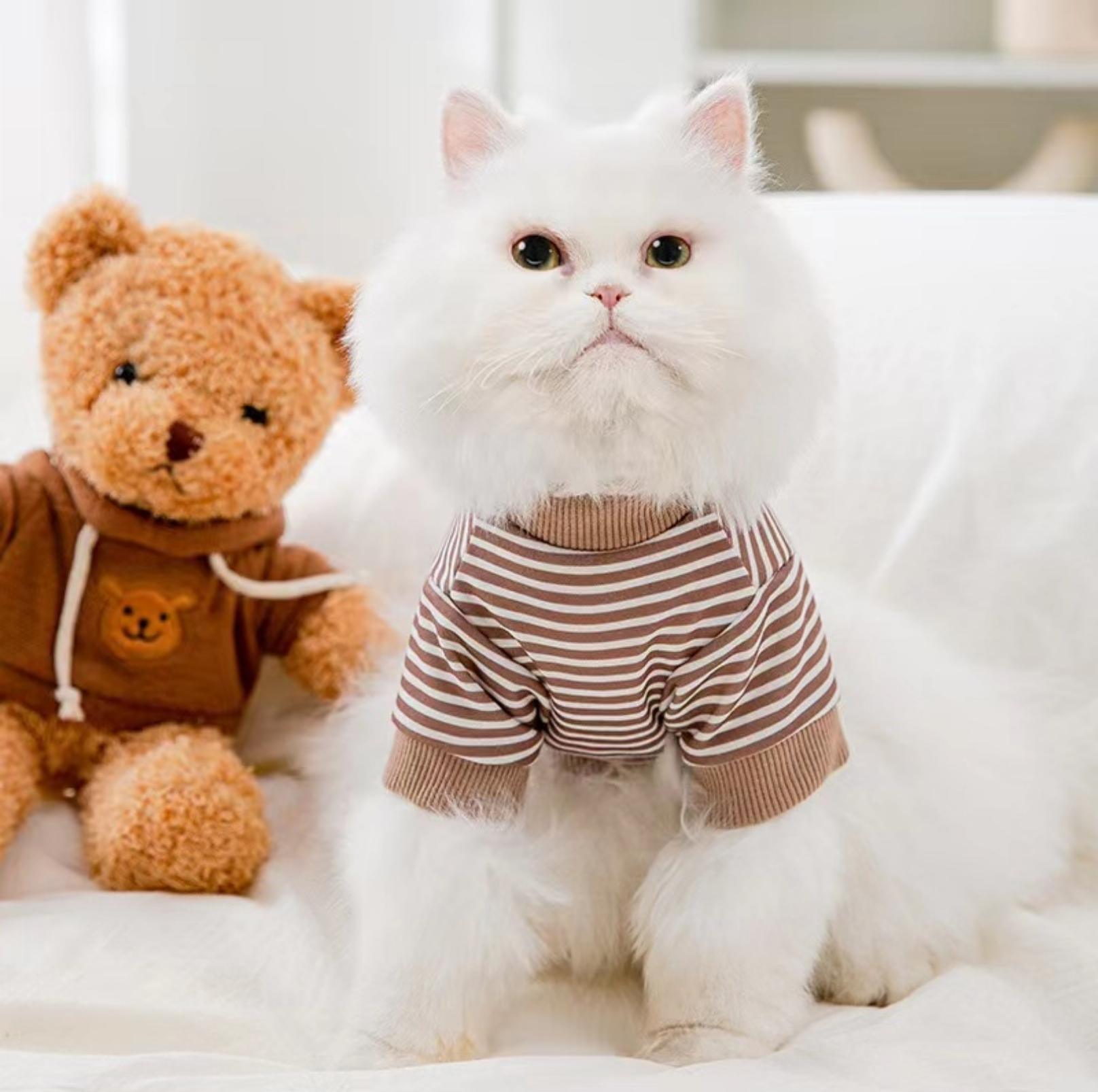 Cartoon Bear Pattern Striped Summer Pet T-Shirt