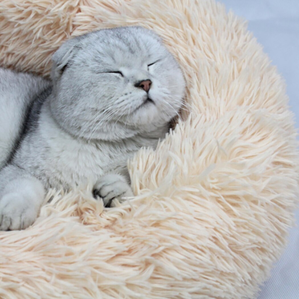 Plush Beds For Cats