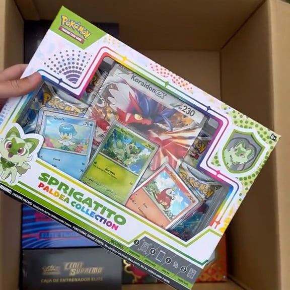 The Pokemon Mystery Boxes